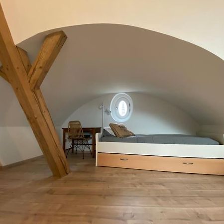 Les Toits D'Austerlitz Apartment Strasbourg Bagian luar foto